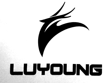 Lu Young Sporting Goods logo